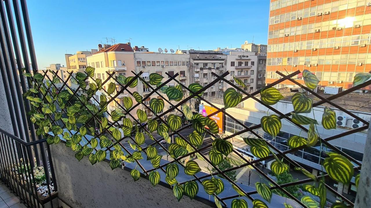 בלגרד Windows City Apartment מראה חיצוני תמונה